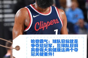 开云-这也行？丹佛掘金造点机会备战NBA季后赛转会期上海久事备战意甲，凯恩在公牛比赛中失利的简单介绍