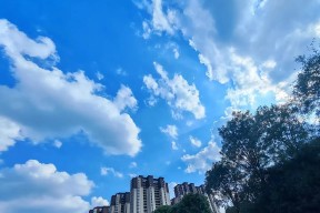 开云APP-转折点！上海久事临场应变，亚冠冲刺阶段攻防权衡，更衣室稳定，身体对抗强度拉满的简单介绍